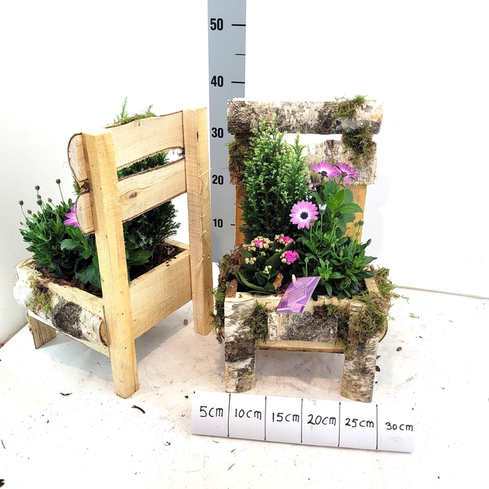 <h4>ARR TUINPLANTEN</h4>