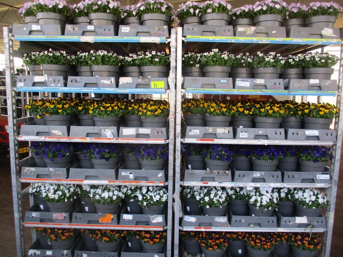 Vio Co Mixk 6kl 1 Kleur Per Fust