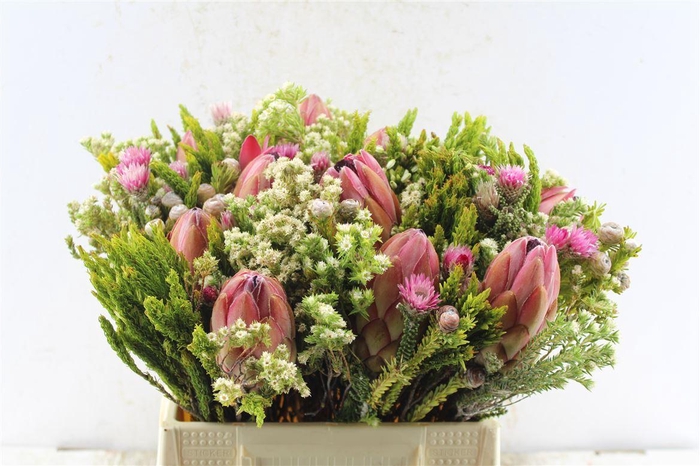 <h4>Protea Boeket</h4>