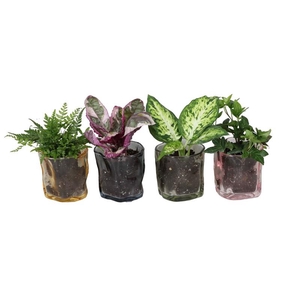 L 67399 W. GREEN MIX 6 CM