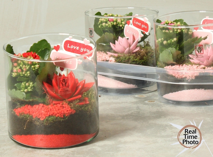 <h4>ARR KAMERPL</h4>