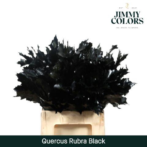 <h4>Quercus Rubra L60 Black</h4>