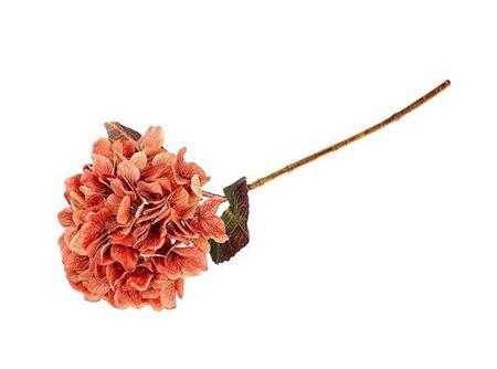 <h4>Stem Hydrangea L65</h4>