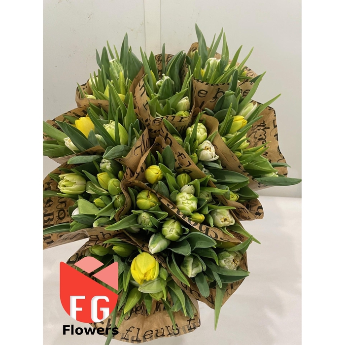 <h4>TU DU GEM White-Yellow</h4>