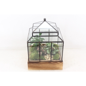 arr3 WR - Terrarium Wardian case one