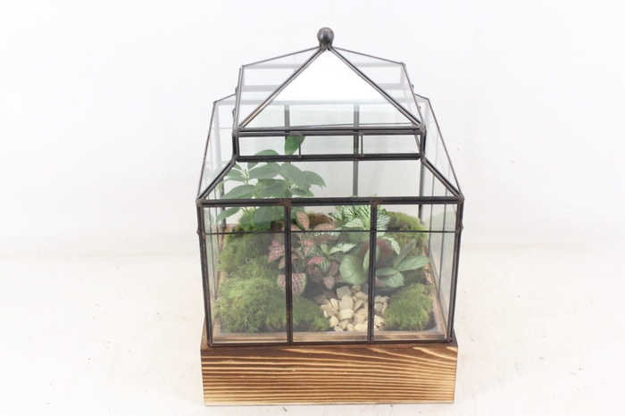 arr3 WR - Terrarium Wardian case one