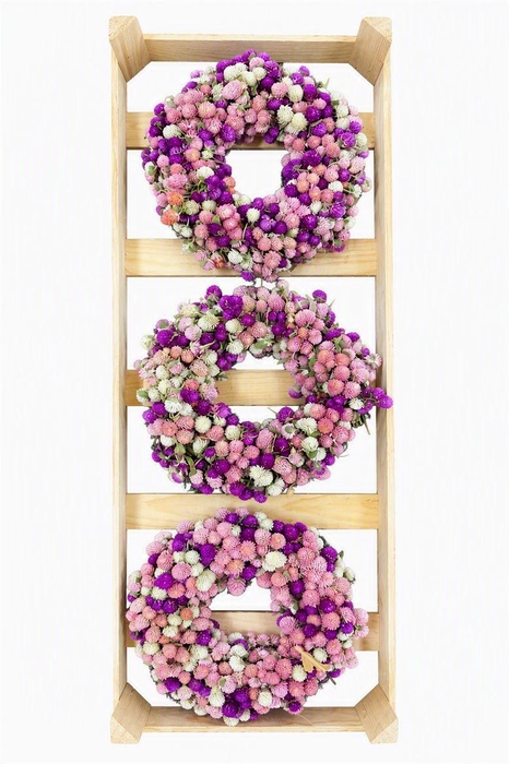 <h4>Wr Dried Gomphrena Mix 30cm</h4>