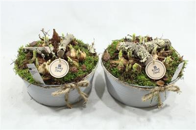 <h4>0877 Zink Relief Tete</h4>