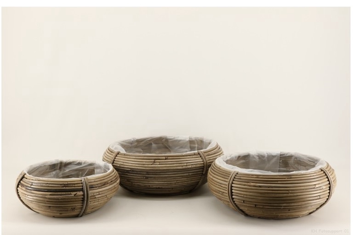 <h4>Lamiation bowl</h4>