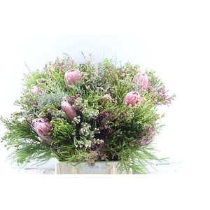 Protea Boeket