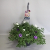 Hangpotten 37 cm met waterreservoir Mix 04 Lagoon mix