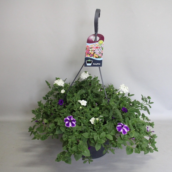 Hangpotten 37 cm met waterreservoir Mix 04 Lagoon mix