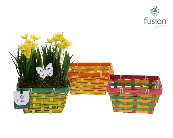 <h4>Rieten mand Met narcis</h4>
