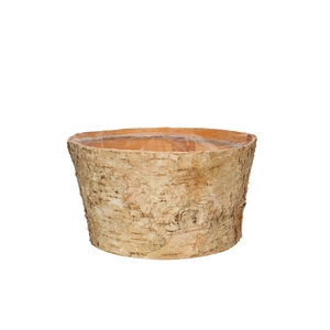 Wood Birch tray d20*11cm