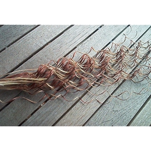 CURLY TING TING BROWN 40ST 55CM