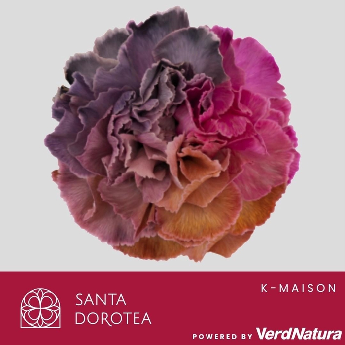 <h4>DI ST OV KLB H%</h4>