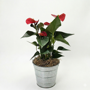 assemblage pot zinc