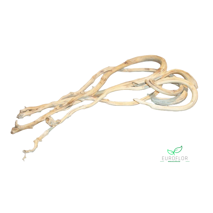 <h4>BANANASTICK 5ST BLEACHED</h4>