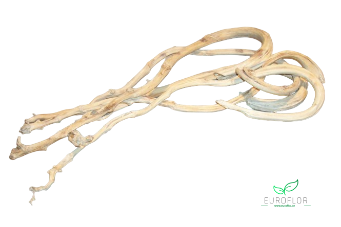 BANANASTICK 5ST BLEACHED