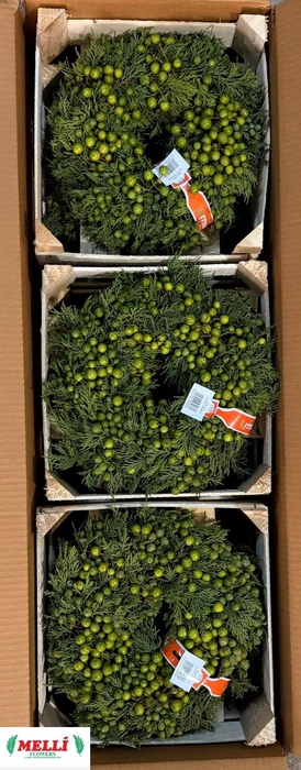 <h4>SIERFRUIT KRANS H%</h4>
