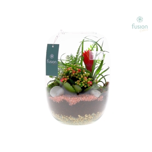 Green Bottle Isabella Large met arrangement