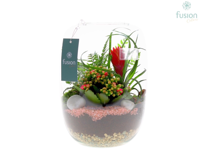 <h4>Green Bottle Isabella Large met arrangement</h4>