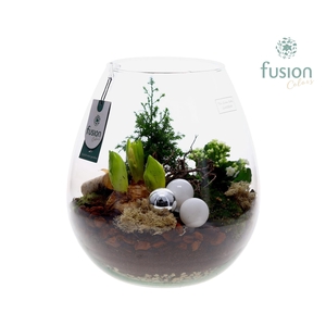 Green Bottle Abby XLarge Kerst met arrangement