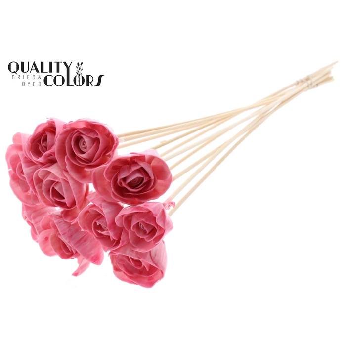 <h4>Shola Dear Holly 6cm on stem Wax Light Pink</h4>