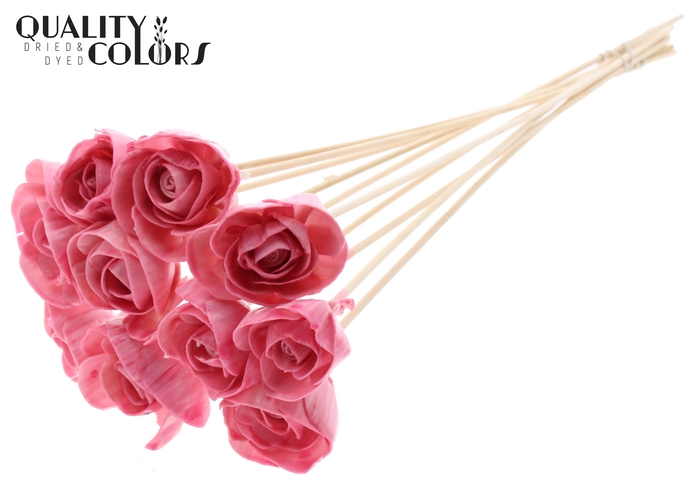 Shola Dear Holly 6cm on stem Wax Light Pink