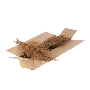 Chilli Grass 100gr 60-70cm Sb Natural