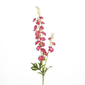 AF Delphinium L85cm Fuchsia