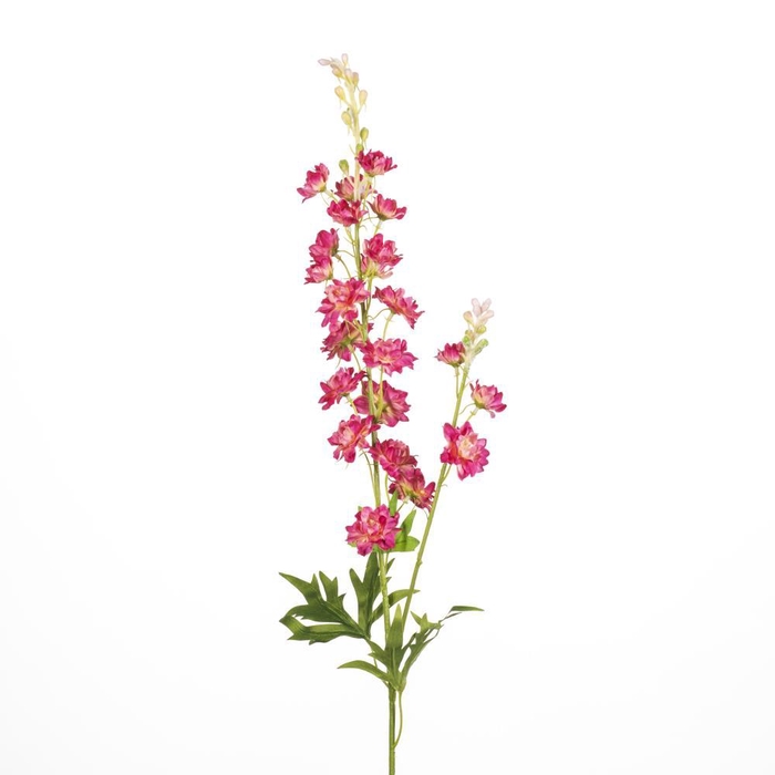<h4>AF Delphinium L85cm Fuchsia</h4>
