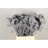 DF Achillea Paint Bs Silver