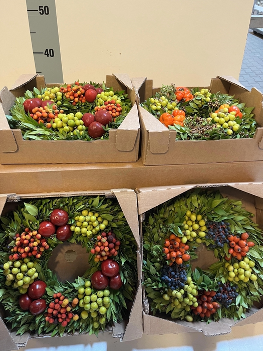 <h4>KRANS SIERFRUIT H%</h4>