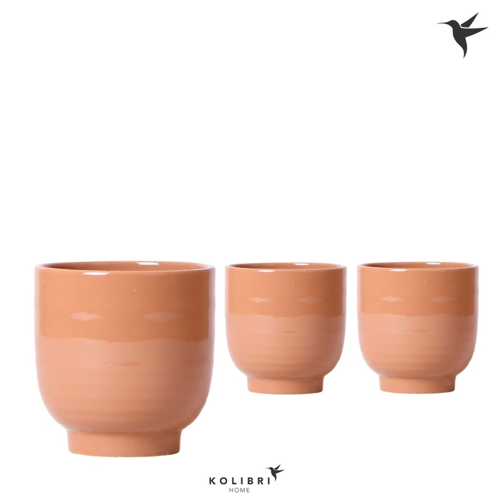 <h4>Glazed pot cognac</h4>