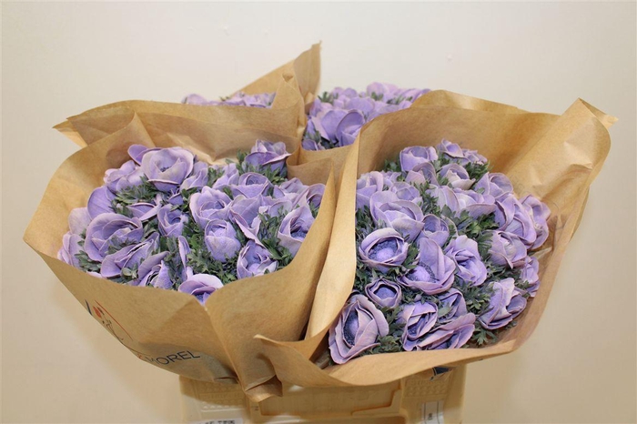 <h4>Anem Marianne Powder Lavender</h4>