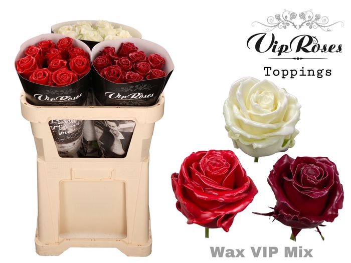 <h4>R Gr Vip Wax Vip Mix</h4>