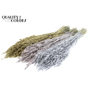 Avena per bunch Mixed colours Wedding