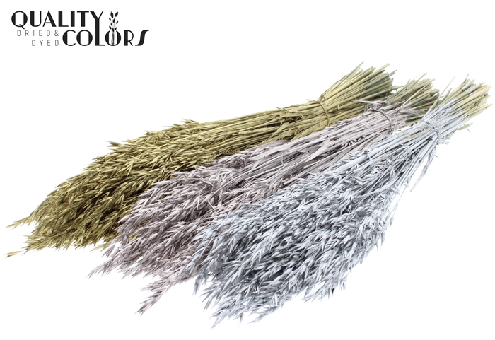 <h4>Avena per bunch Mixed colours Wedding</h4>