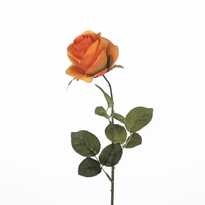 <h4>Af Rosa L65cm Orange</h4>