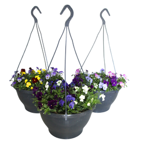 Hangpot 30 cm met waterreservoir Viola Cornuta divers