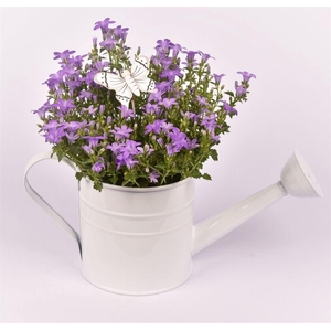 Zink gieter 13cm