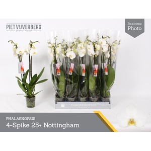 PHAL AN NOTTINGHAM