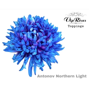 Chr G Antonov Northern Light