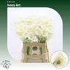 Calla Ivory Art
