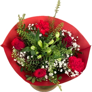 Bq Whisper Wonder Red M