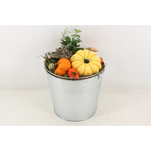 arr4 Sierfruit MB - Zink emmer XL