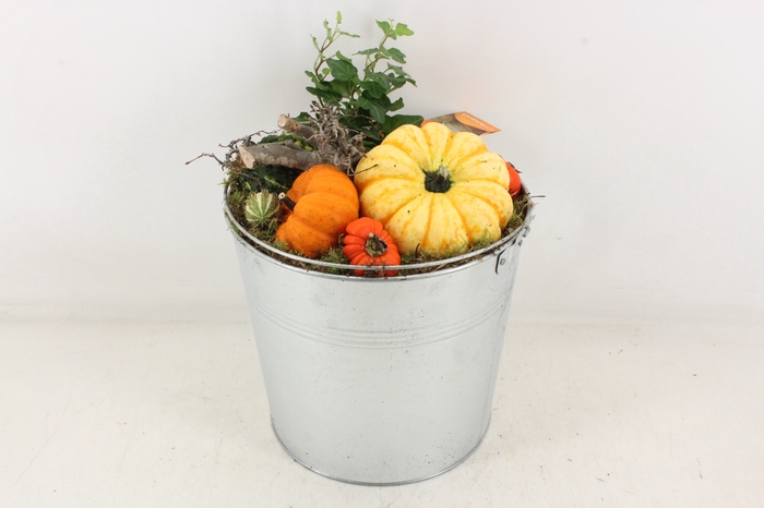 <h4>arr4 Sierfruit MB - Zink emmer XL</h4>