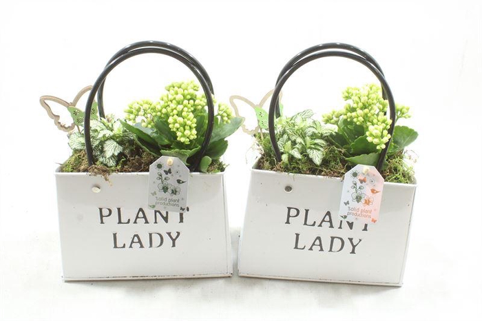 <h4>0. ZKE001 WHITE BAG</h4>