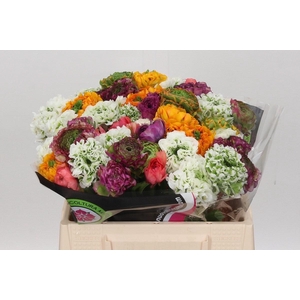 Ran Pon Pon Mix Rainbow